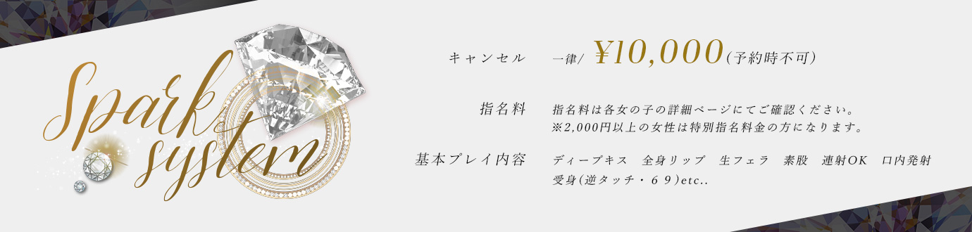 その他料金